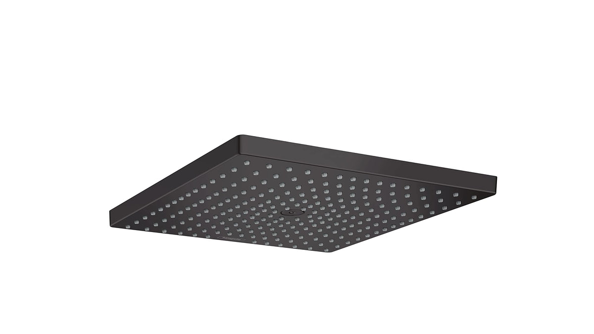 Open Box - Hansgrohe 26240671 - Shower Heads Showers