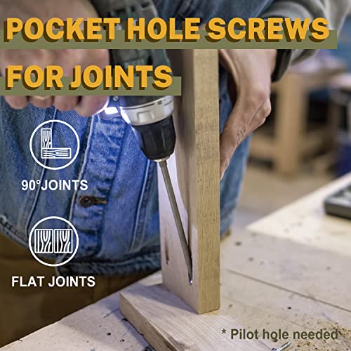 LIONMAX Pocket Hole Screws Assortment Kit 300PCS, Coarse&Fine Thread 6 Size - size: Coarse Thread + Fine Thread (300pcs)