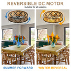 23 Inch Boho Rattan Flush Mount Ceiling Fan with Lights and Remote, 6 Speeds DC Motor Farmhouse Low Profile Bladeless Ceiling Fan