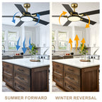52 Inches Black and Gold Modern Ceiling Fan with LED Lights, 6 Speeds DC Motor Indoor Ceiling Fan for Large Room