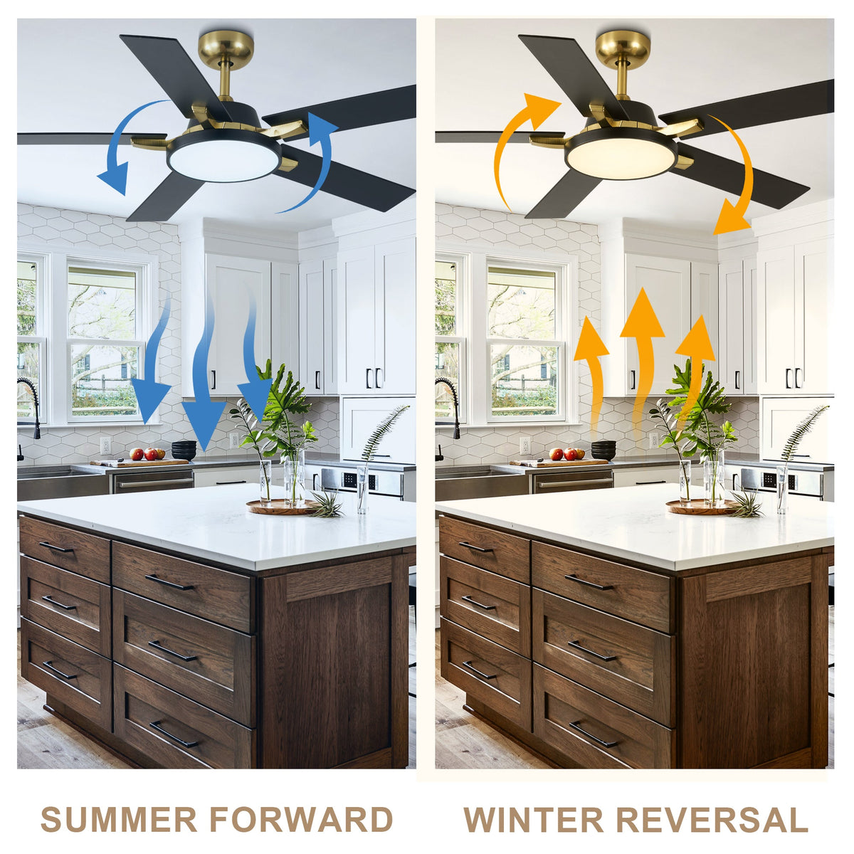 52 Inches Black and Gold Modern Ceiling Fan with LED Lights, 6 Speeds DC Motor Indoor Ceiling Fan for Large Room