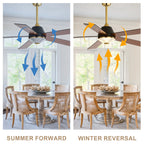 52 Inch Black and Gold Modern Ceiling Fan with LED Light and Remote Control, 6 Speeds DC Motor 5-Blade Reversible Ceiling Fan for Living Room