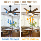 60 Inch 6-Blade Black Modern Large Ceiling Fan with LED Lights and Remote Control, 6 Speeds Reversible Ceiling Fan