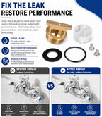B-0969-RK01 Vacuum Breaker Repair Kit