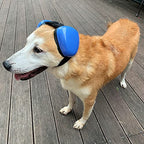 derYEP Dog Earmuffs for Hearing Protection 29dB NRR Ear Muffs Noise Protection (Large, Blue) - color: Blue, size: Large