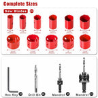 Bi-Metal Hole Saw Kit, HYCHIKA 17 Pcs High Speed Steel 3/4" to 2-1/2" Hole Saw Set in Case with Mandrels, Hole Saw Bit for Metal, Drilling PVC Board,and Plastic Plate