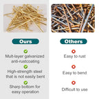 Gold Picture Hanging Nails Kit 650 Pcs - 4 Sizes Premium Galvanized Steel Wall Nails with Storage Box for Frames, Photos, Artworks - size: 650Pcs Gold Nails
