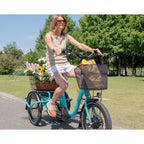 Aitour Folding Electric Trike Heal Mini 250W