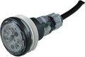 Pentair MicroBrite Warm White LED Light 12V 14W 100' Cord | EC-620457