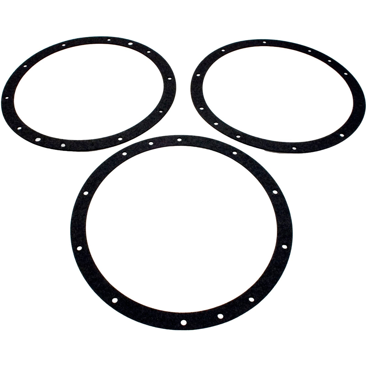 Niche Gskt Kit, Pentair, 10-Hole, Vinyl, w/o Dbl Wall Gskt 79200400