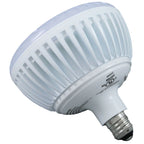 PureWhite Cool White Pool Lamp 500W 120V | 26810