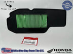 Honda OEM 21-2025 Honda CT125A CT 125 Trail 125 ABS Air Filter 17210-K2E-T00