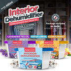 SOL 12pk 400ml Interior Dehumidifiers in Lavender, Citrus or Rose Scent | Windor Moisture Absorber for Home, Wardrobe, Damp Traps Condensation Absorbers Window, Mini Dehumidifier Disposable