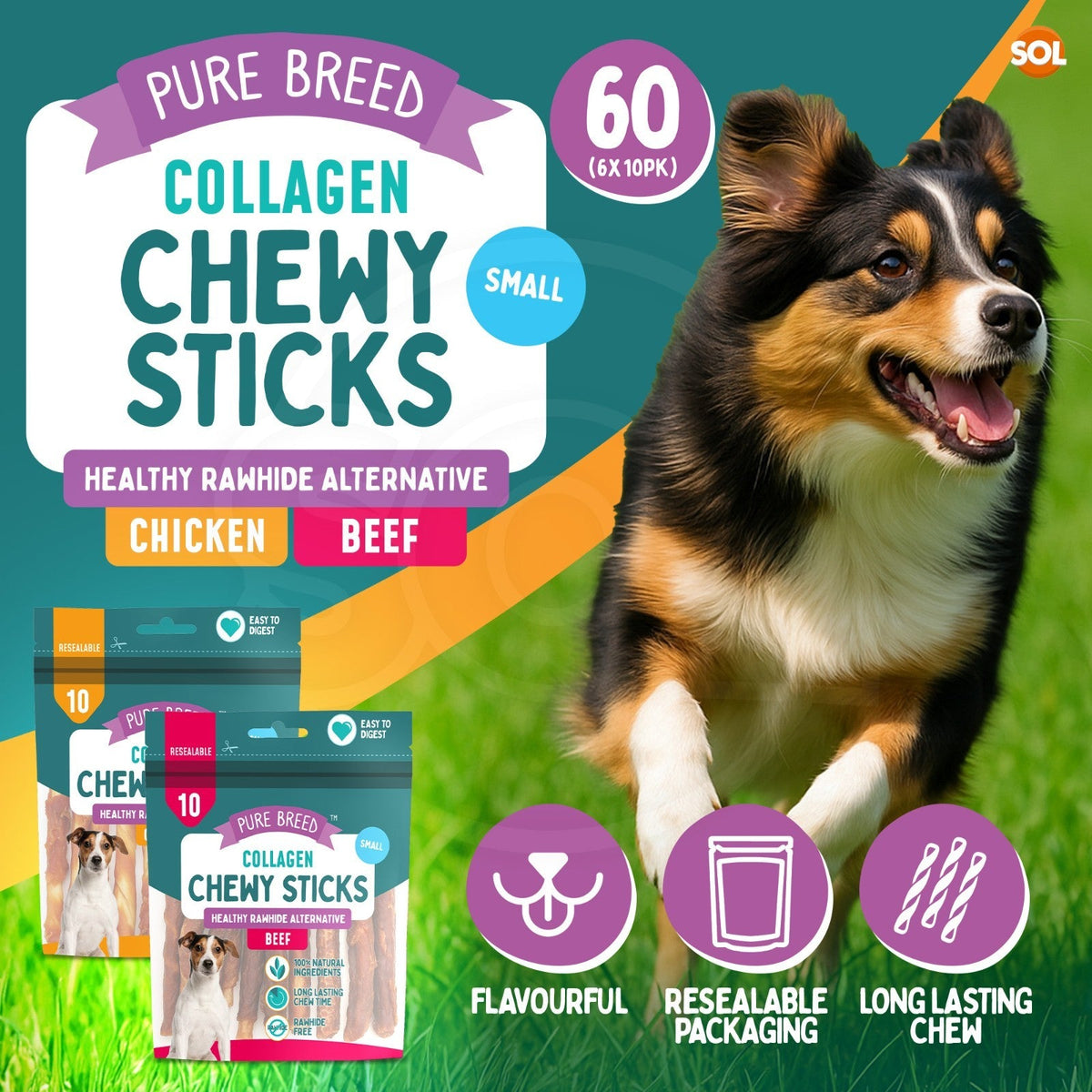 Mini Dog Chew Sticks | Natural Rawhide Twist Chicken Beef | 20 Pack