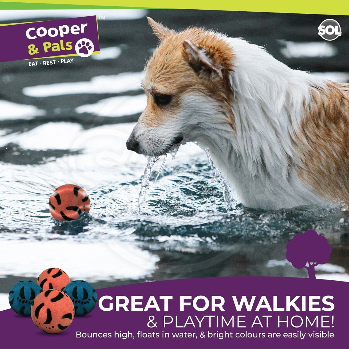 6-24 Rubber Dog Balls | Solid Hard Play Fetch Toys