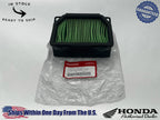 Honda OEM Air Filter 17210-K94-T00 / CB250R CB300R CB300RA CBF125 CBF250 '18-'20