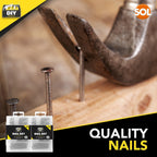 Flat Head Nails | Assorted Metal Carpentry Woodworking Pins | 500 Pack
