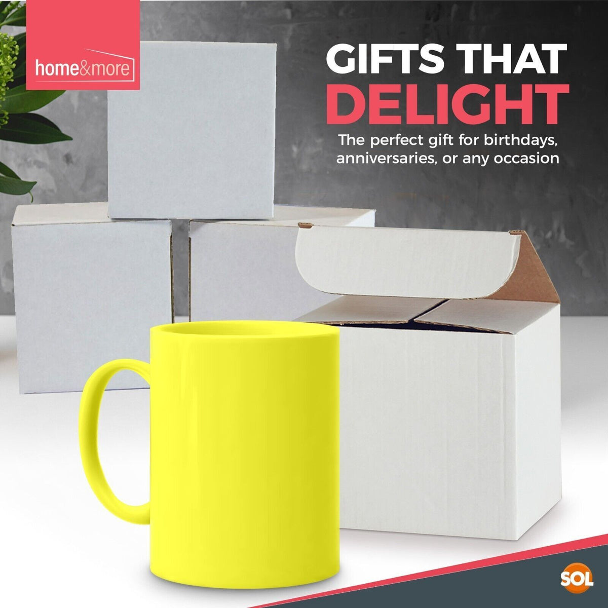 Multi Coloured Ceramic Mugs 330ml Set of 12