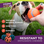 6-24 Rubber Dog Balls | Solid Hard Play Fetch Toys