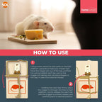 Wooden Mouse Traps | Reusable Rodent Pest Control | 4 Pack