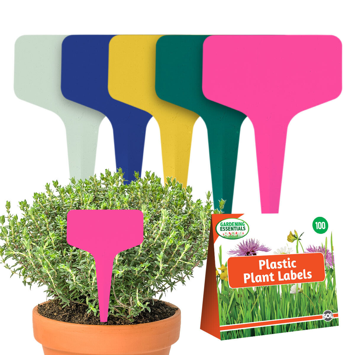 Plastic Plant Labels T Type 10cm | Waterproof Garden Markers | 100 Pack