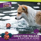 Cooper & Pals 24pk Bulk Rubber Balls, 60mm Strong & Durable Dog Balls, Soft and Bouncy Design, Perfect for Fetch, Chewing, and Playtime, Pet-Friendly Materials For Active Dogs, Training Outdoor Fun