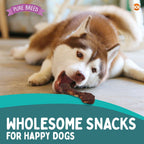Collagen Dog Treats Chicken & Beef Flavour | 6 Inch