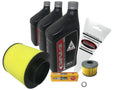 Honda GN4 Standard 10W-30 Tune-Up Kit for 1995-2003 TRX400