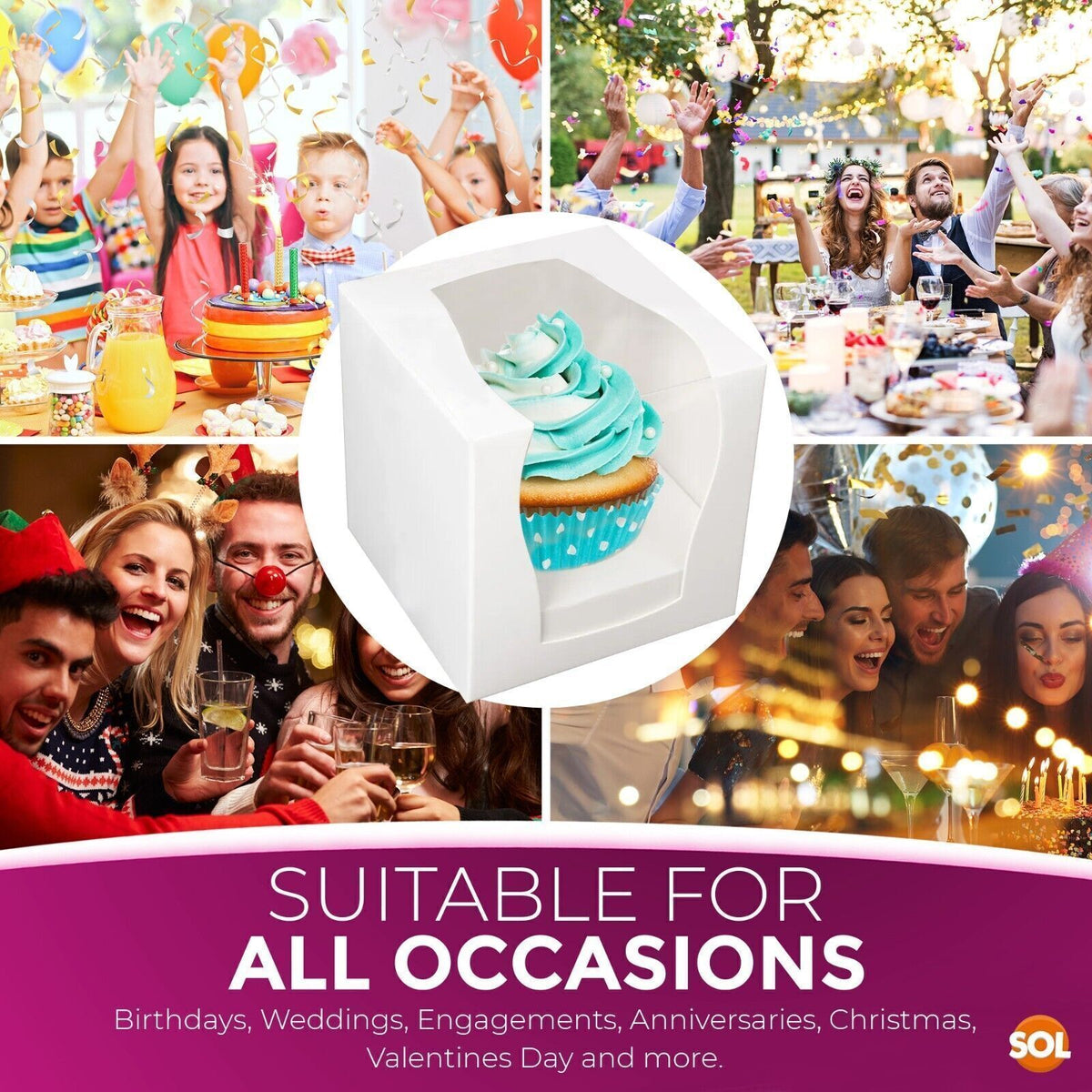 Cupcake Boxes Single White | Window & Inner Tray | 12 Pack