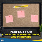 Clear Push Pins for Corkboard 220 Pack – Notice Thumb Tacks