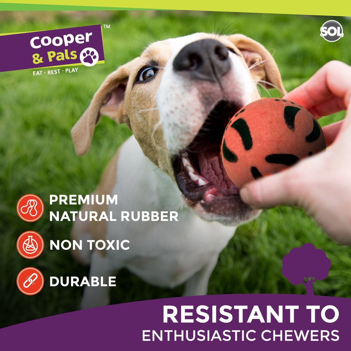 Cooper & Pals 24pk Bulk Rubber Balls, 60mm Strong & Durable Dog Balls, Soft and Bouncy Design, Perfect for Fetch, Chewing, and Playtime, Pet-Friendly Materials For Active Dogs, Training Outdoor Fun