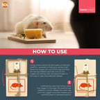 Wooden Mouse Traps | Reusable Rodent Pest Control | 8 Pack