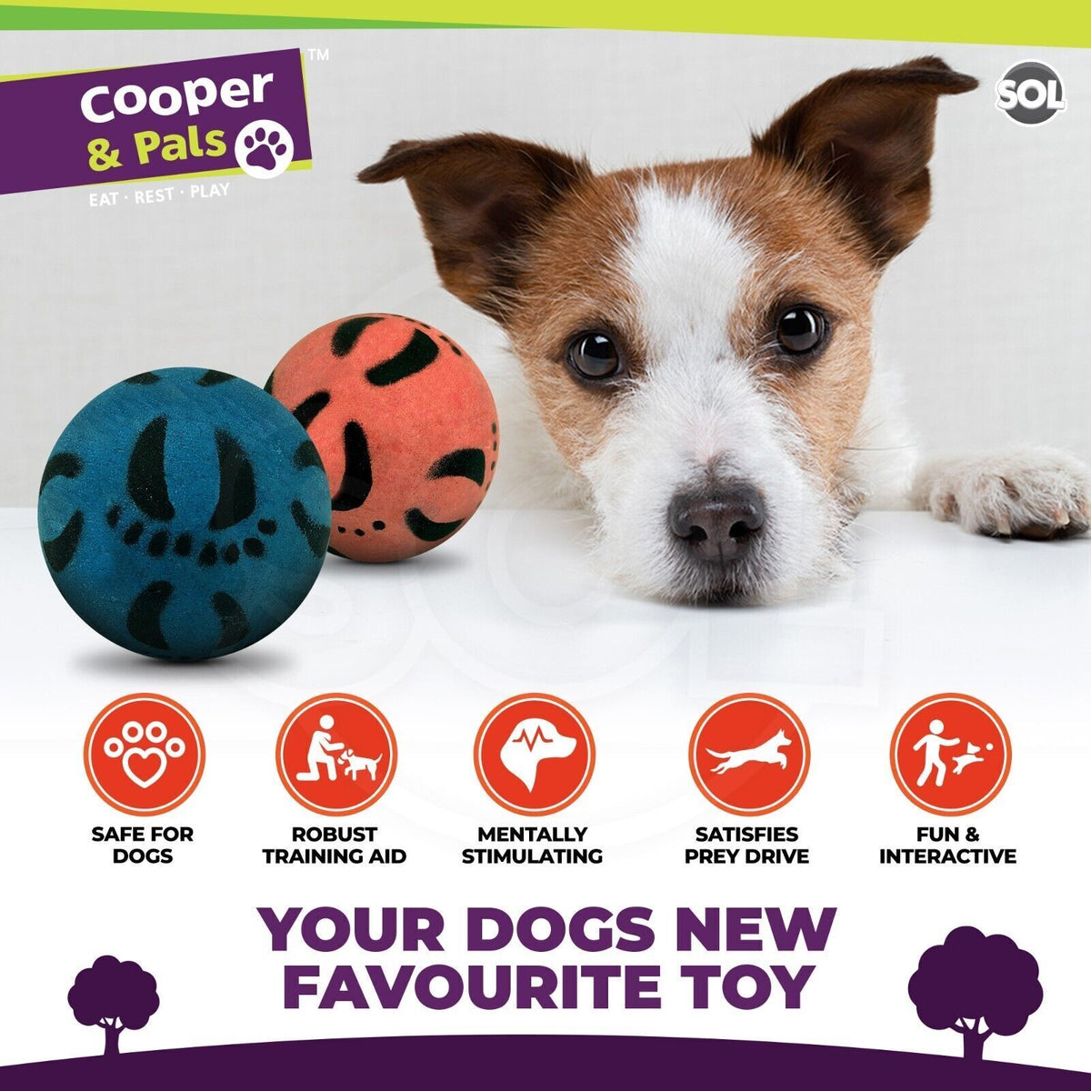 6-24 Rubber Dog Balls | Solid Hard Play Fetch Toys