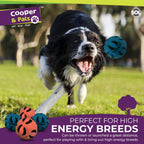 6-24 Rubber Dog Balls | Solid Hard Play Fetch Toys