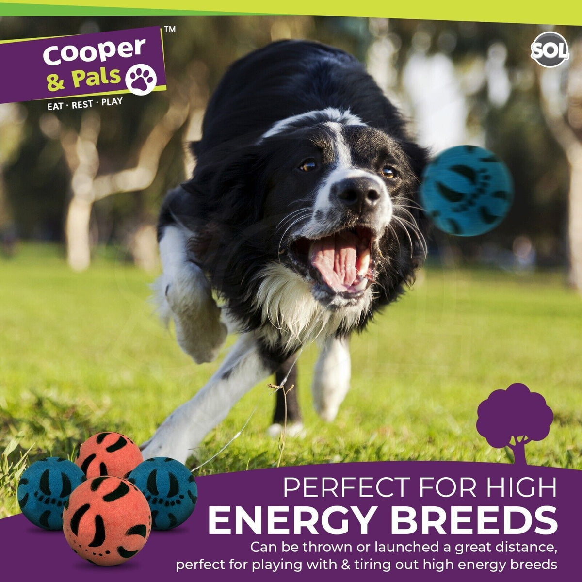 6-24 Rubber Dog Balls | Solid Hard Play Fetch Toys