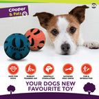 Rubber Dog Balls | Bouncy Solid Hard Fetch Chew Toys | 4 Pack
