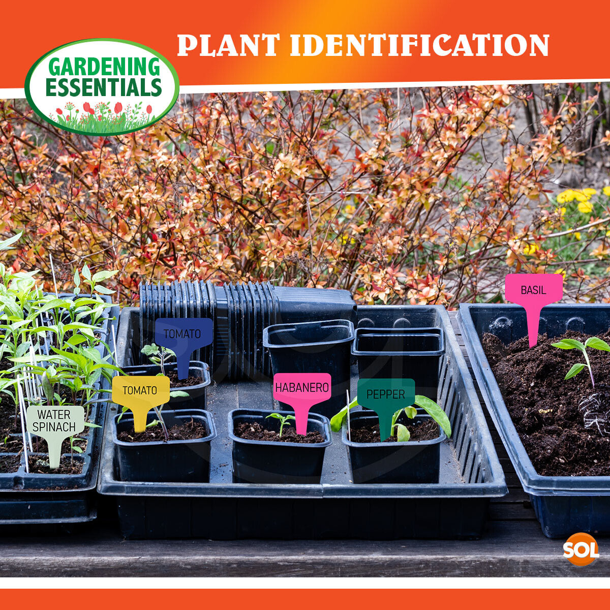 Plastic Plant Labels T Type 10cm | Waterproof Garden Markers | 100 Pack