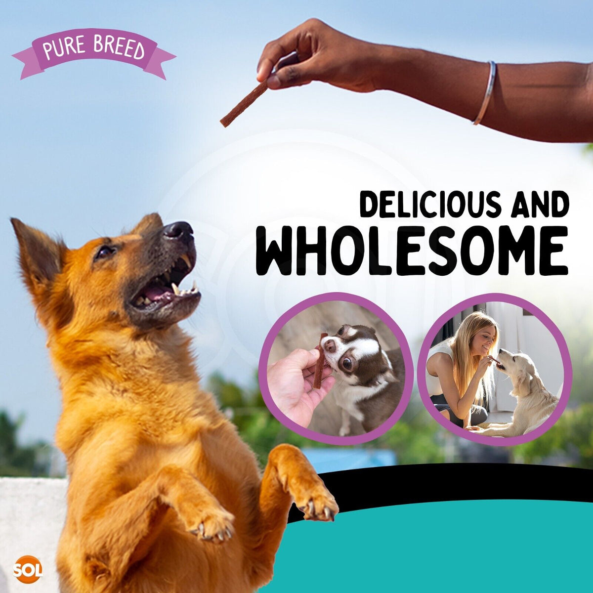 Pure Breed 600g Protein Chicken Strips Dog Treats For Medium Dogs in 4x Resealable 150g Bags, Healthy Low Calorie Natural Treat Made with Real Chicken Chews Training Rewards For Small - Large Pup