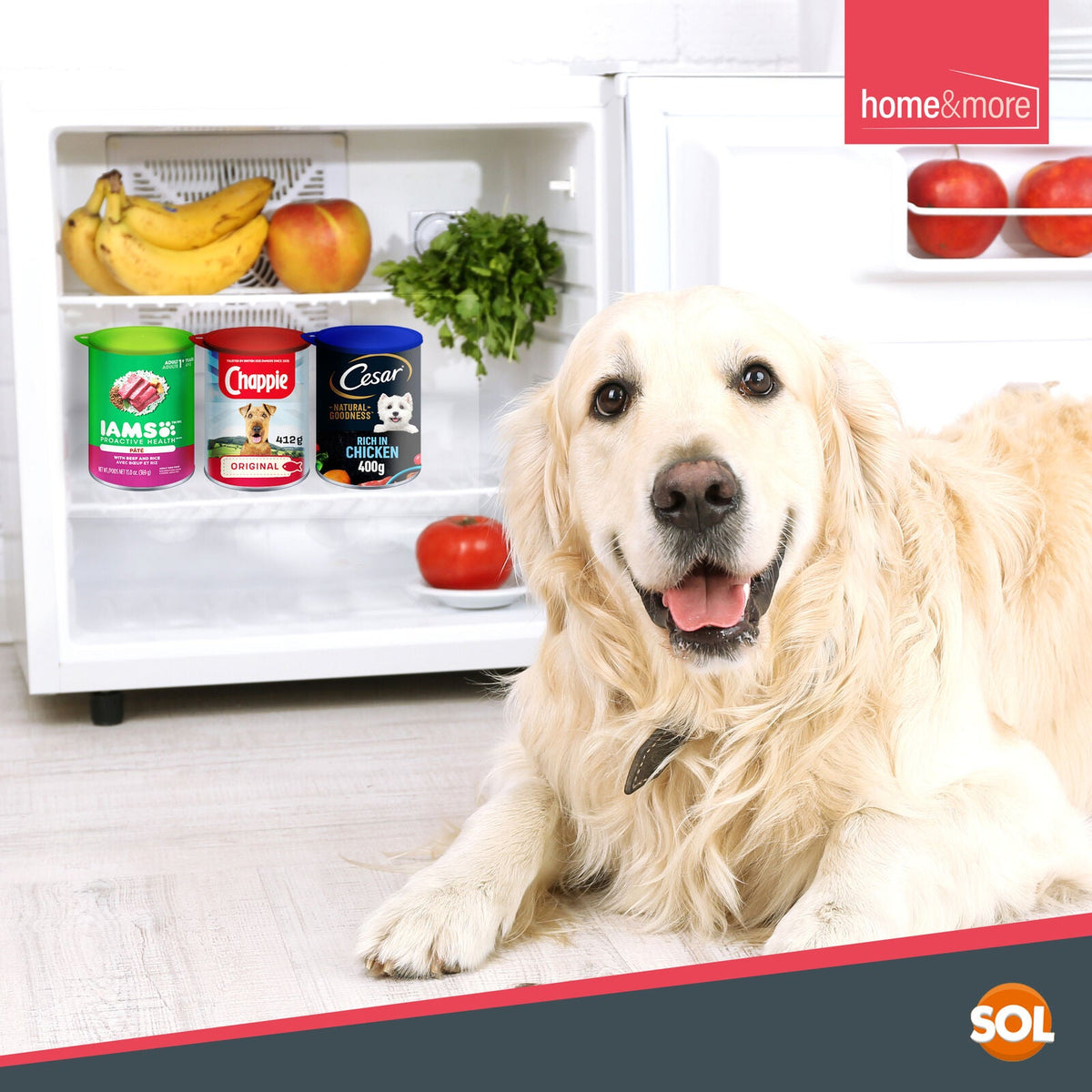 Plastic Can Lids | Reusable Covers for Food & Pet | 6 Pack