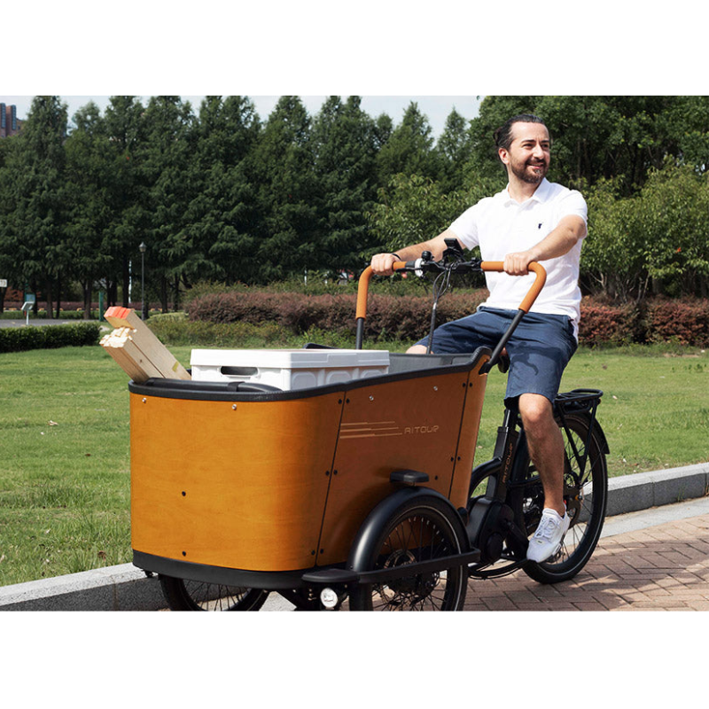 Aitour Cargo Electric Bike - Family C 250W
