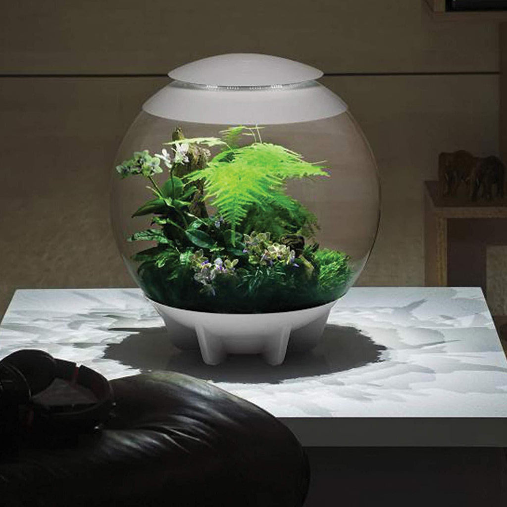 BiOrb Air 60L LED Smart Rainforest Terrarium