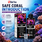 Red Sea DipX Coral Dip Solution for Reef Aquariums