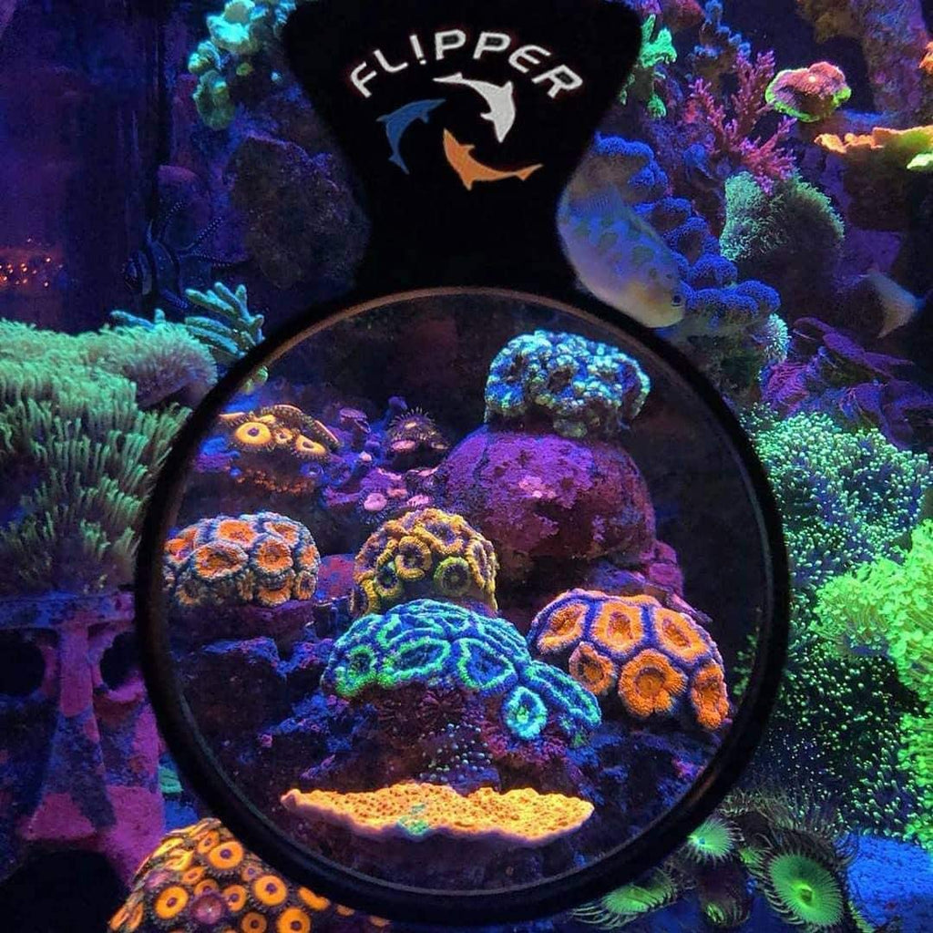 Flipper Deepsee Magnetic Aquarium Viewer: 3", 4", 5" Lens Set