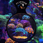Flipper Deepsee Magnetic Aquarium Viewer: 3", 4", 5" Lens Set