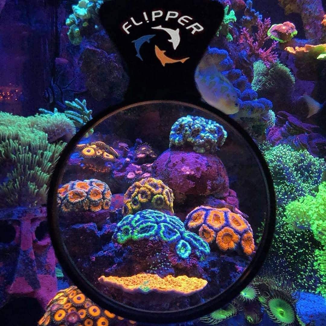Flipper Deepsee Magnetic Aquarium Viewer: 3", 4", 5" Lens Set