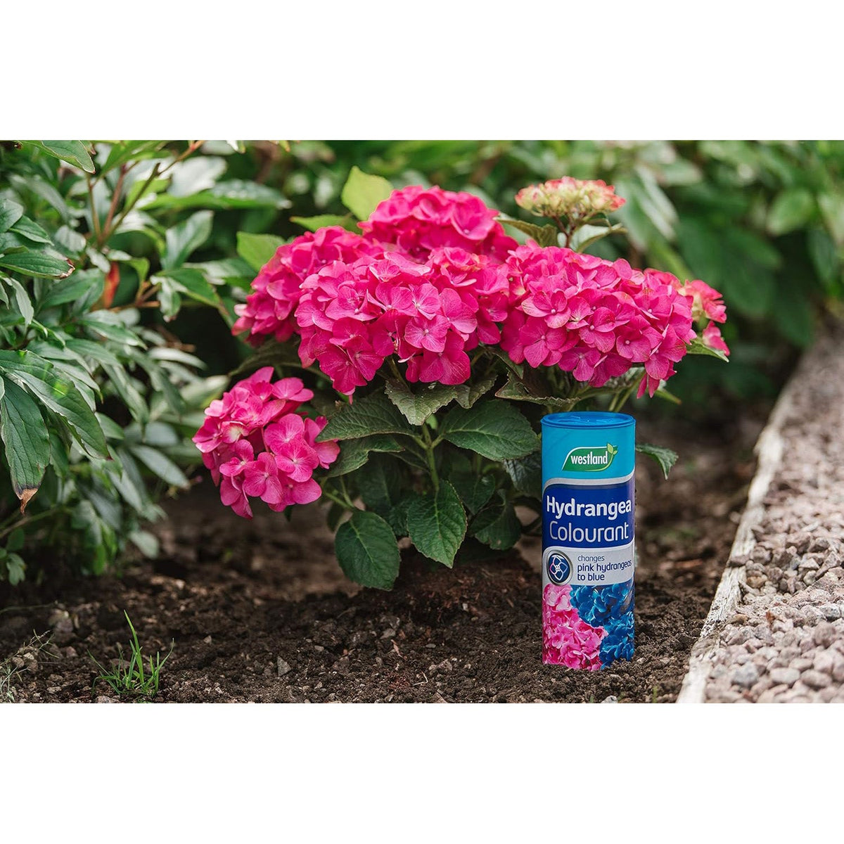 Westland Hydrangea Colourant 500g - Blue Boost Formula