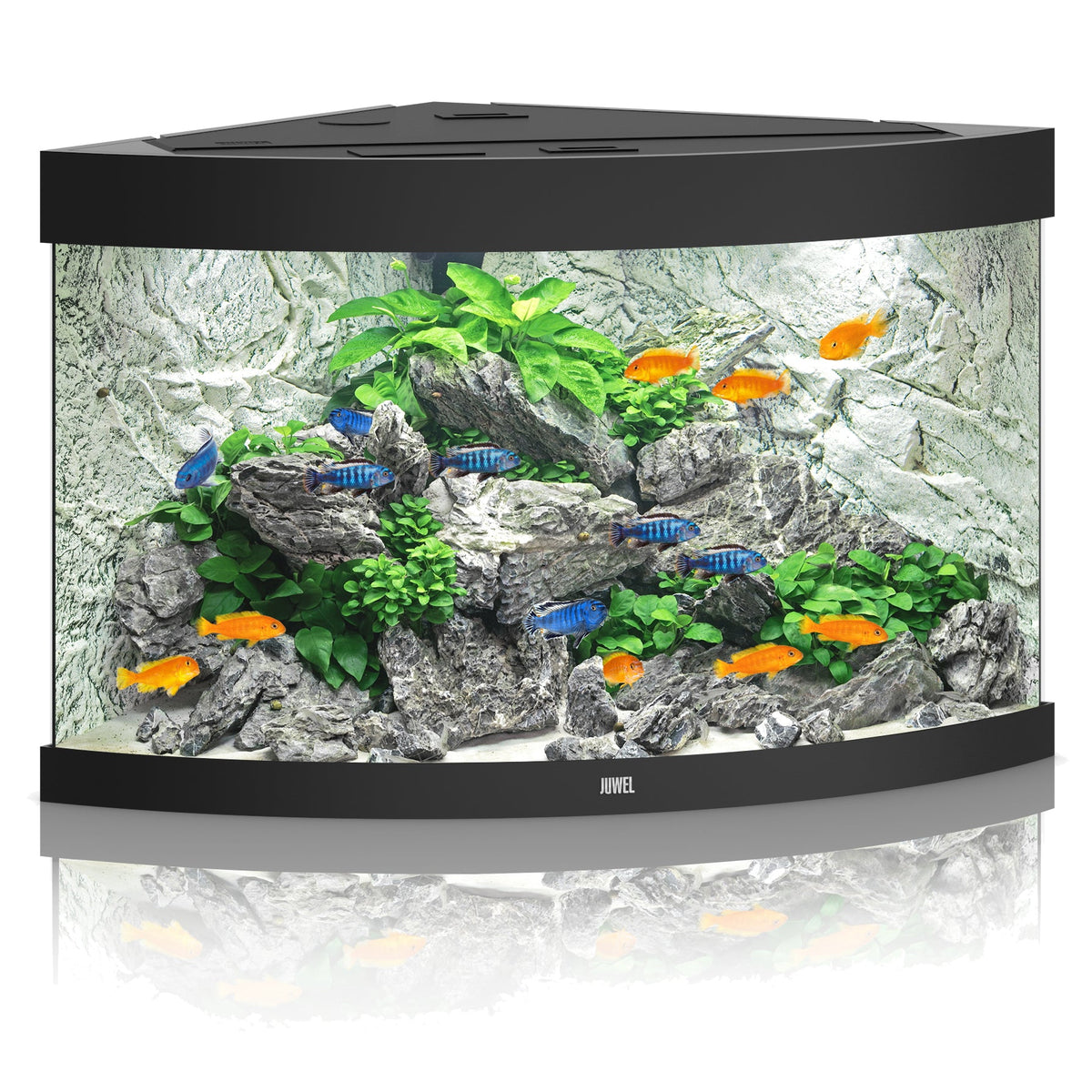 Juwel Trigon 190 LED Aquarium with Filter & Heater