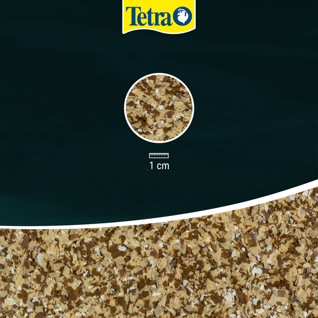 Tetra Pond Flakes 100g - Fish Food T366