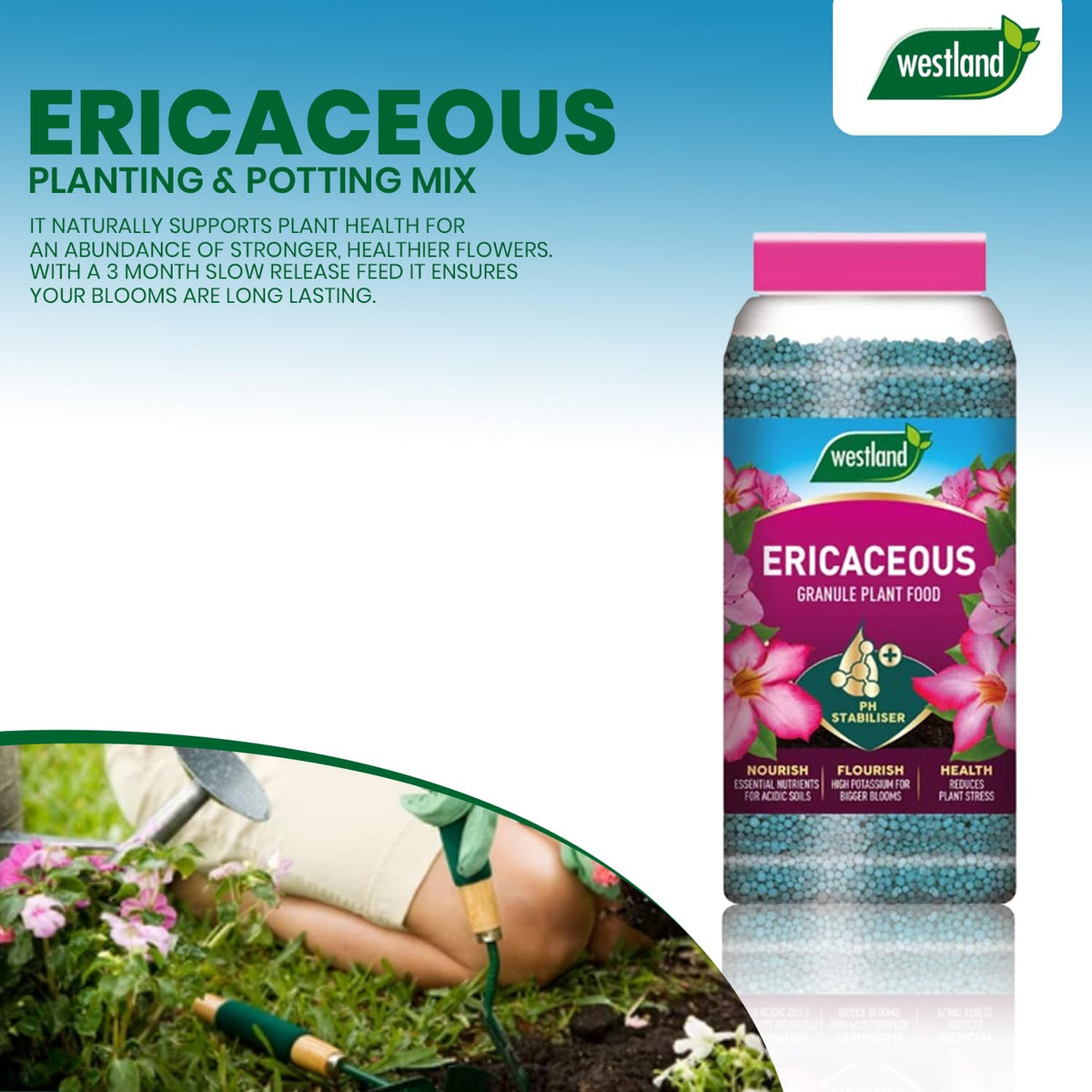 Westland Ericaceous Specialist Plant Food Slow Release Soil Granules Jar 900g
