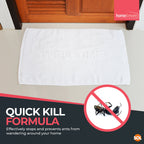 Ant Trap Bait Station | Stop Ants Killer Indoor & Outdoor | 6 Pack